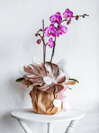 ORCHID BLOOM POT