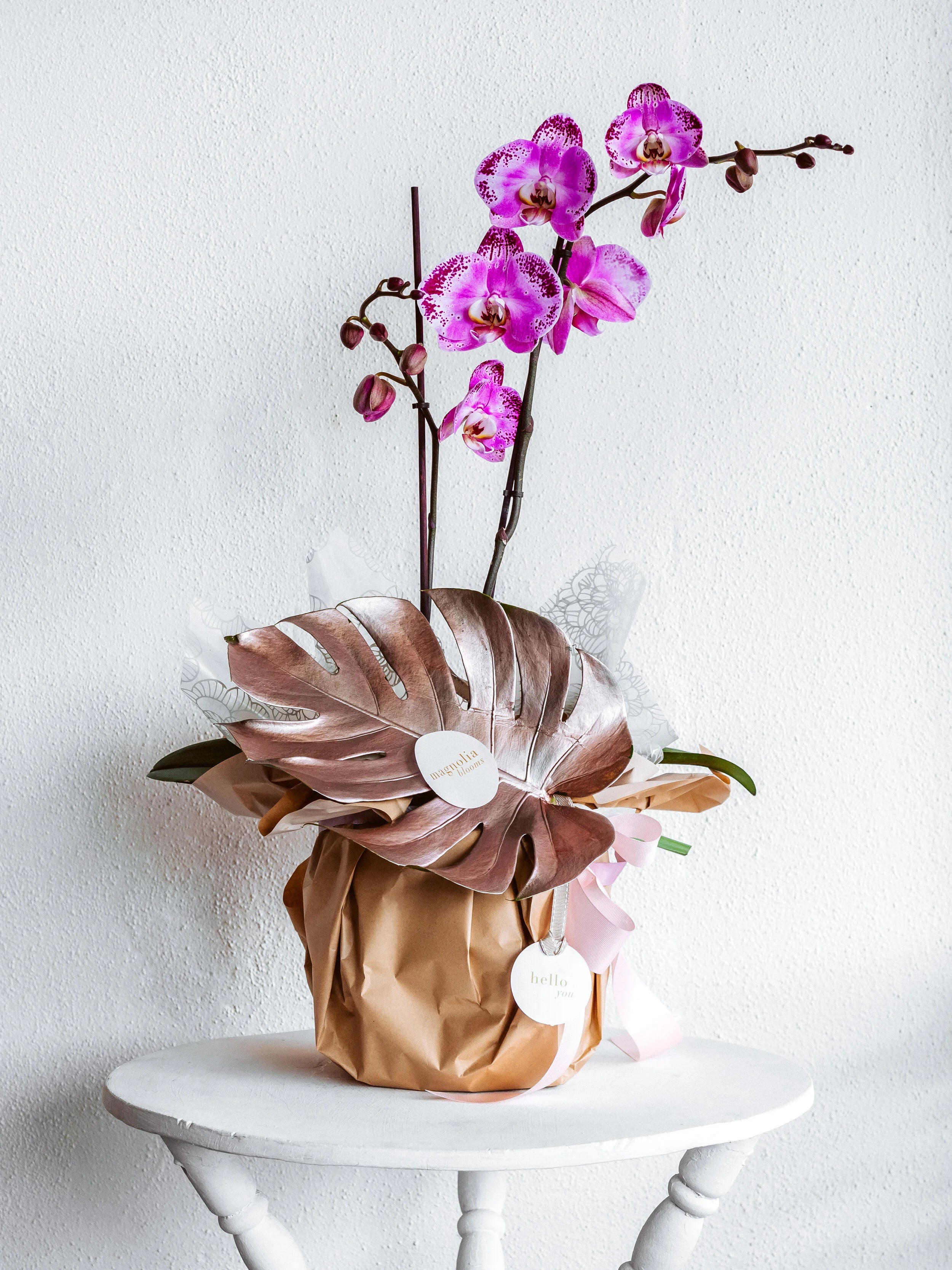 ORCHID BLOOM POT